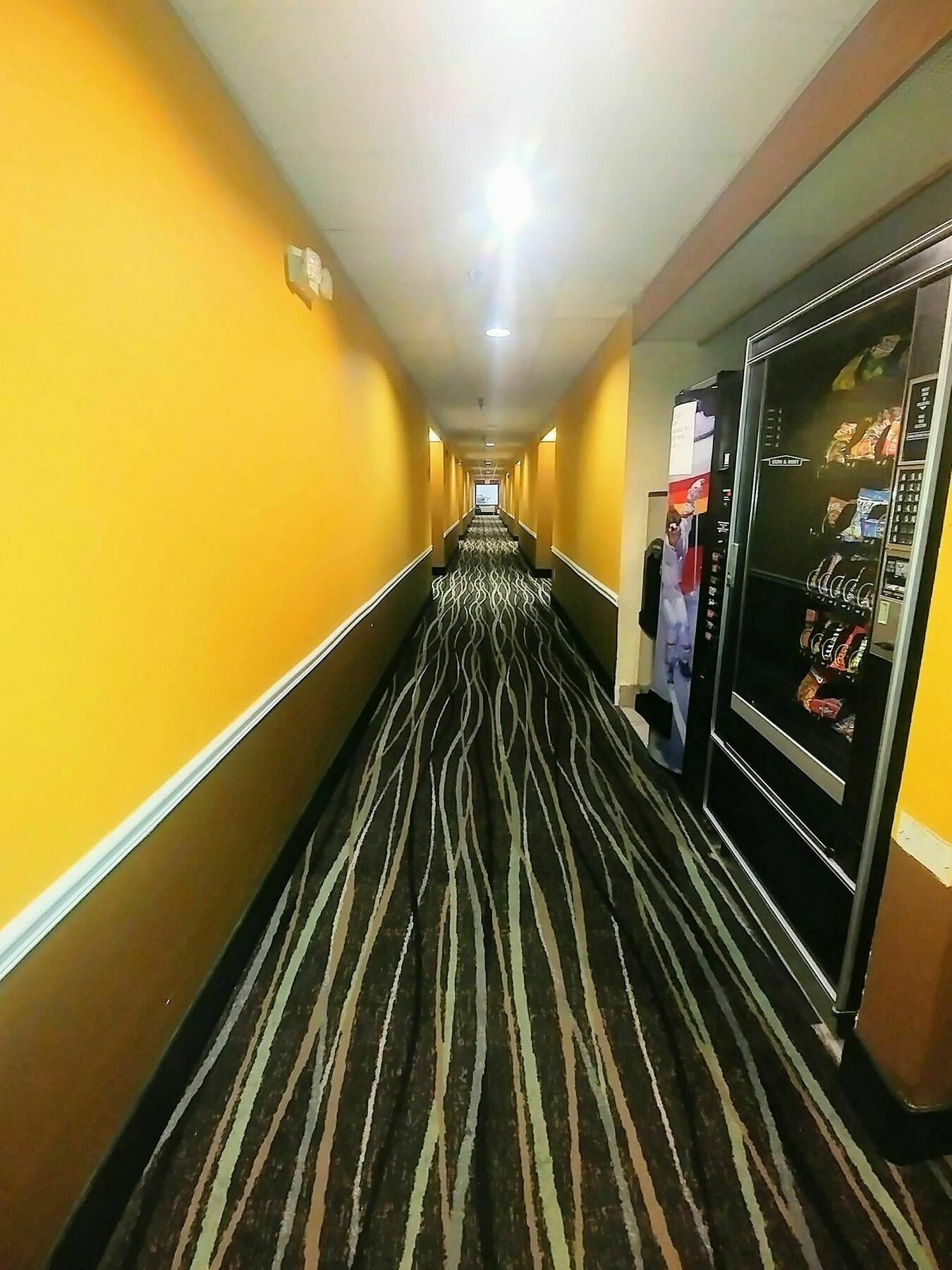 Americas Best Value Inn And Suites Lee'S Summit-Kansas City מראה חיצוני תמונה
